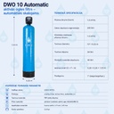 dwo 10 auto.jpg